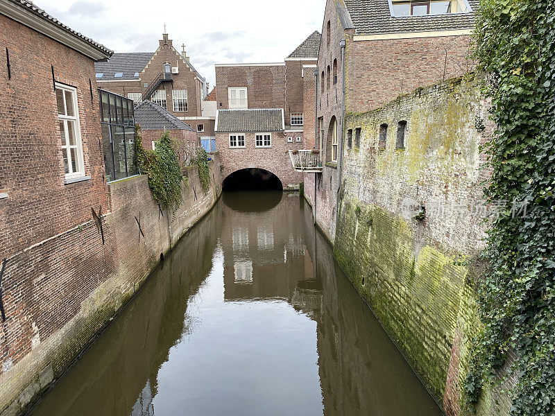 荷兰- hertogenbosch (Den Bosch)运河边的房子。